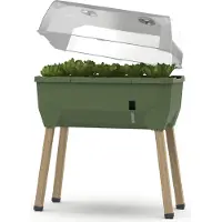 Gusta Garden Parterre surélevé SAMMY SALAD Starterset, vert foncé
