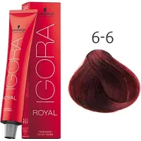 Schwarzkopf Professional Igora Royal Chocolates 60 ml 6-6 Dark Blonde Chocolate