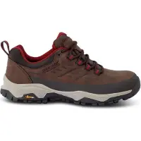 Regatta Blake Low Hiking Shoes Marron EU 36 Femme