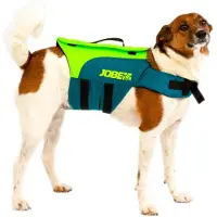 Jobe Dog Life Jacket Vert,Bleu L