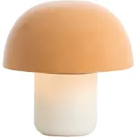 Light & Living - lampe de table - ANIVA - orange - métal - lampe de chevet - E27 - 8058290