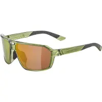 Alpina sport Sunglasses Swift Green Transparent Gloss/Gold Mirror