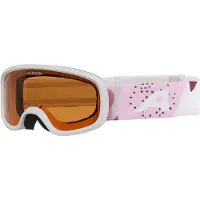 Alpina Masque de ski