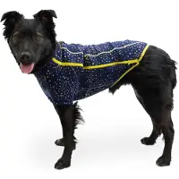 Ruffwear Manteau Pour Chien Climate Changer