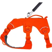 Ruffwear Harnais Pour Chien Web Master