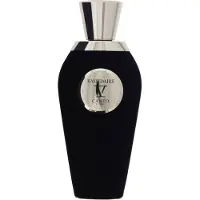 Van Canto Canto Kashimire V Extrait De Parfum Vaporisateur unisexe 100ml Pour Femme