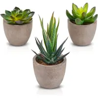 Unyqoos Ensemble de plantes artificielles (3 pièces) avec pots – Décoration verte réaliste pour table et salon, non toxique, facile d'entretien (Aloé, Nénuphar, Parellotus)