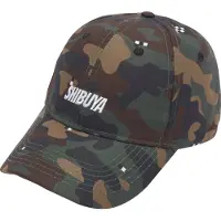Cayler & Sons Casquette marron châtaigne / brun foncé / sapin / blanc