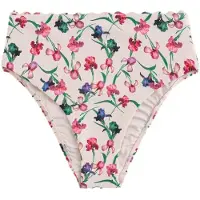 Ted Baker Bas de bikini beige / bleu foncé / vert / rouge
