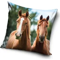 Carbotex Taie d'oreiller Chevaux Brownies