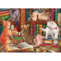 Eurographics Puzzle Chatons de Bibliothéque - 1000 pièces