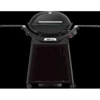 Weber Q 3200N avec Support