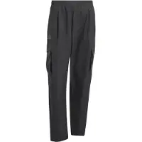 Adidas Pantalon outdoor 'Xploric' noir