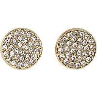 DKNY Boucles d'oreilles or / transparent