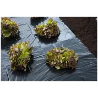 Nature Film de protection et de paillage en LDPE noir, résistant aux UV, épaisseur 100 µm, dimensions 3 x 4 mètres – fabriqué à partir de matériaux recyclés