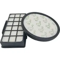 INF Pack de 2 filtres HEPA pour Rowenta RO69XX modèle ZR006001 MultiColor