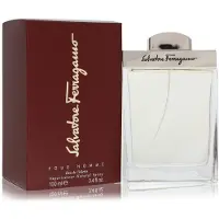 Salvatore Ferragamo Pour Homme eau de toilette spray 100 ml