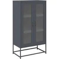 vidaXL Highboard Anthracite 68x39x123 cm Acier