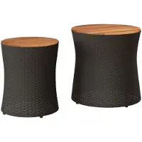 vidaXL Tables d'appoint de jardin 2 pcs. avec plateau en bois noir Poly rotin