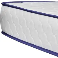 vidaXL Matelas en mousse à mémoire de forme 200 x 120 x 17 cm doux