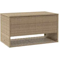 vidaXL Outdoor Kissenbox Beige 100x55x55.5 cm Poly Rattan