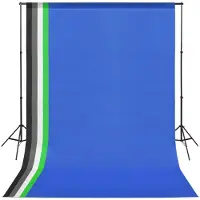 vidaXL Kit de studio avec 5 toiles de fond colorées et cadre réglable