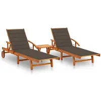 vidaXL 3077353, Terrasse, siège rembourré, Bois d'acacia, Gris brun, Polyester, 670 mm