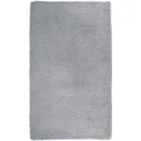 vidaXL Tapis Shaggy à poils longs NAVARRA gris argenté 60x100 cm