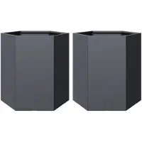vidaXL Jardinières 2 pcs anthracite hexagone 46x40x45 cm acier