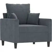 vidaXL Fauteuil gris foncé 60 cm velours