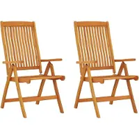vidaXL Chaises de jardin pliantes 2 pcs. Bois massif d'eucalyptus