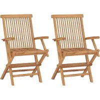 vidaXL Chaises de jardin pliantes 2 pcs. Bois massif teck