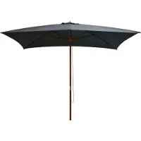 vidaXL Parasol avec mât en bois 200x300 cm anthracite