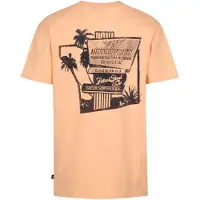 Petrol Industries T-Shirt orange / noir