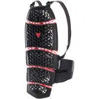 Dainese Pro-armor 2.0 Back Protector Noir XS-M