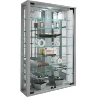 Hioshop Vitrine murale Vitrine suspendue Vitrine en verre Vitrosa Mini miroir Vitrine murale Vitrine suspendue Vitrine en verre Vitrosa Mini miroir