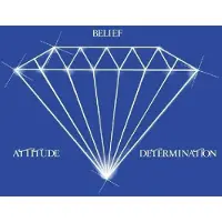 Membran 17% Fee Attitude Belief Determination
