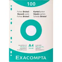 Exacompta Fiches (210 x 297 mm, 205 g/m²)