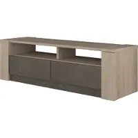 Trasman Meuble TV avec 2 tiroirs & 2 étagères - Marron & Couleurs Chêne - SUMAI