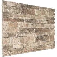 vidaXL Panneaux muraux , lot de 10, multicolores, 100 x 50 cm, mousse EPS