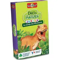 Bioviva Jeu de cartes Défis Nature junior Dinosaures