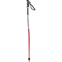 Swix Wc Pro Sg Bâtons Junior Argent 115 cm Argent 115 cm
