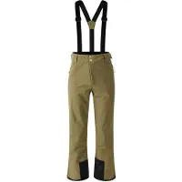 Dare 2b Achieve Ii Pants Vert 3XL / Regular Homme