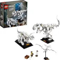 LEGO 21320 Ideas Fossiles de dinosaures
