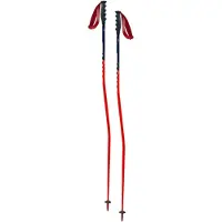 Swix Bâtons World Cup Pro Super-g