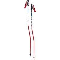 Swix Bâtons World Cup Pro Sg Carbon
