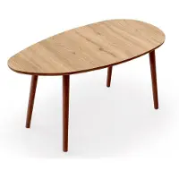 Skye Decor Nora Coffee Table (50 x 100 x 45 cm)