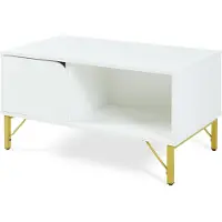 En.casa Table basse « Reyri » avec porte et compartiment ouvert, 80 x 45 x 42 cm, rectangulaire, structure métallique, blanc/doré