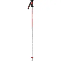 Vola Sl Carbon 12,5 Mm Poles Argenté 115 cm