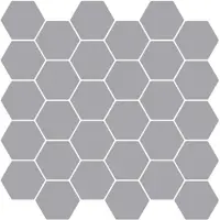 vidaXL Carreau Hexagonal 10 Pcs Gris 30 X 30 Cm Polyuréthane Et Pet